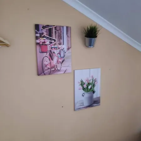 Casa De Vasco Homestay *